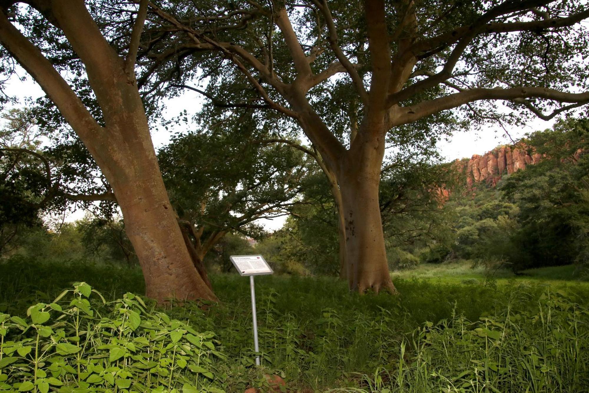 Villa Waterberg Wilderness Exterior foto