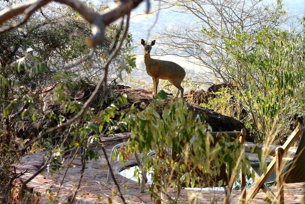 Villa Waterberg Wilderness Exterior foto