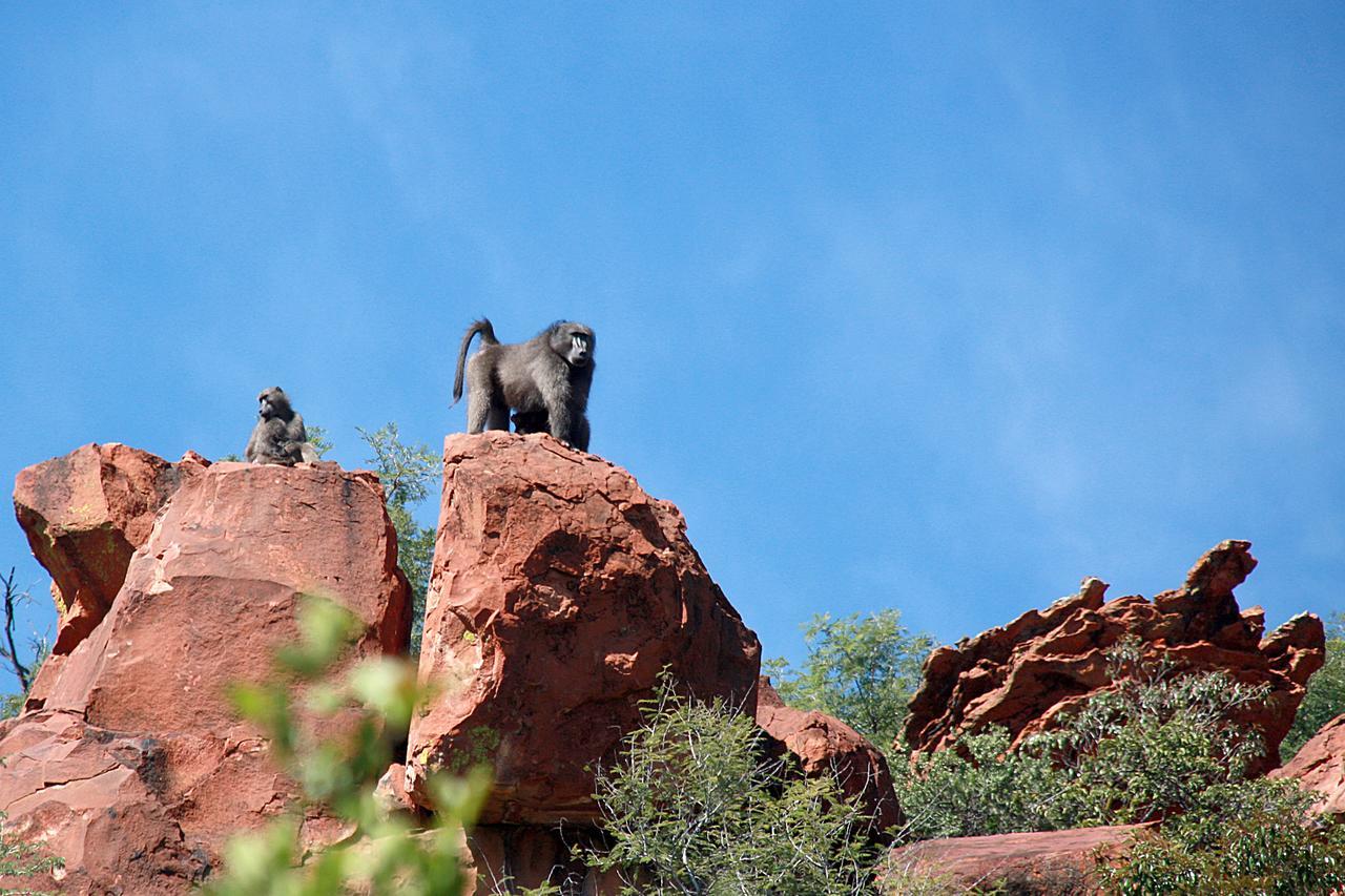 Villa Waterberg Wilderness Exterior foto